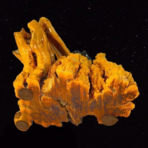 Vintage Apple Tree Carved Figurine Tree Man Women 6”T Signed Shep Driftwood - Picture 8 of 9